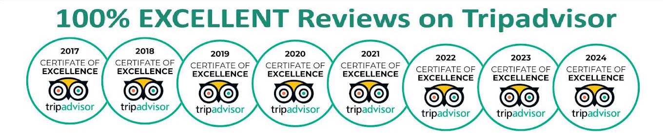 tripadvisor